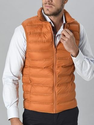 Gilet a481